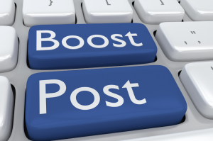 A couple of important things to note when using this Pre-Scheduled Post Type for Paid Post Boost