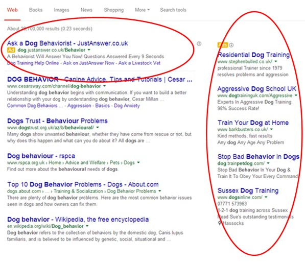 Use numbers and statistics in your Google Ads’ headlines