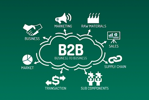 Developing and optimizing your B2B products or services