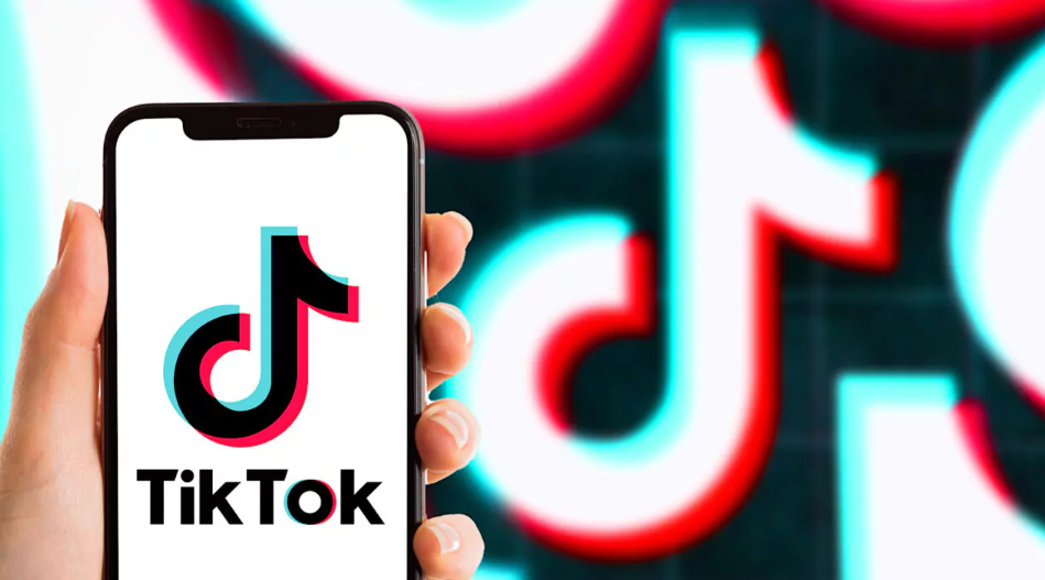 The first look at TikTok Insights is a collection of tiles presenting data